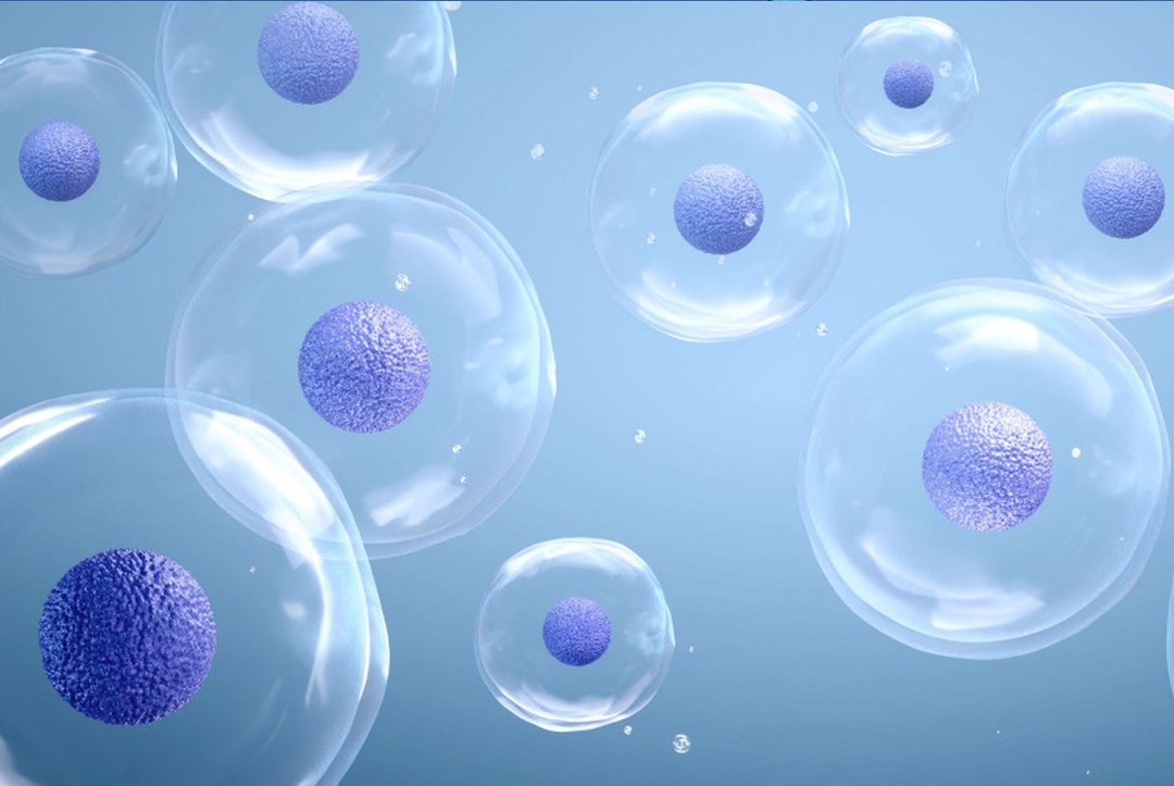 Many eggs retrieved but few embryos? The issue may lie in these critical stages.