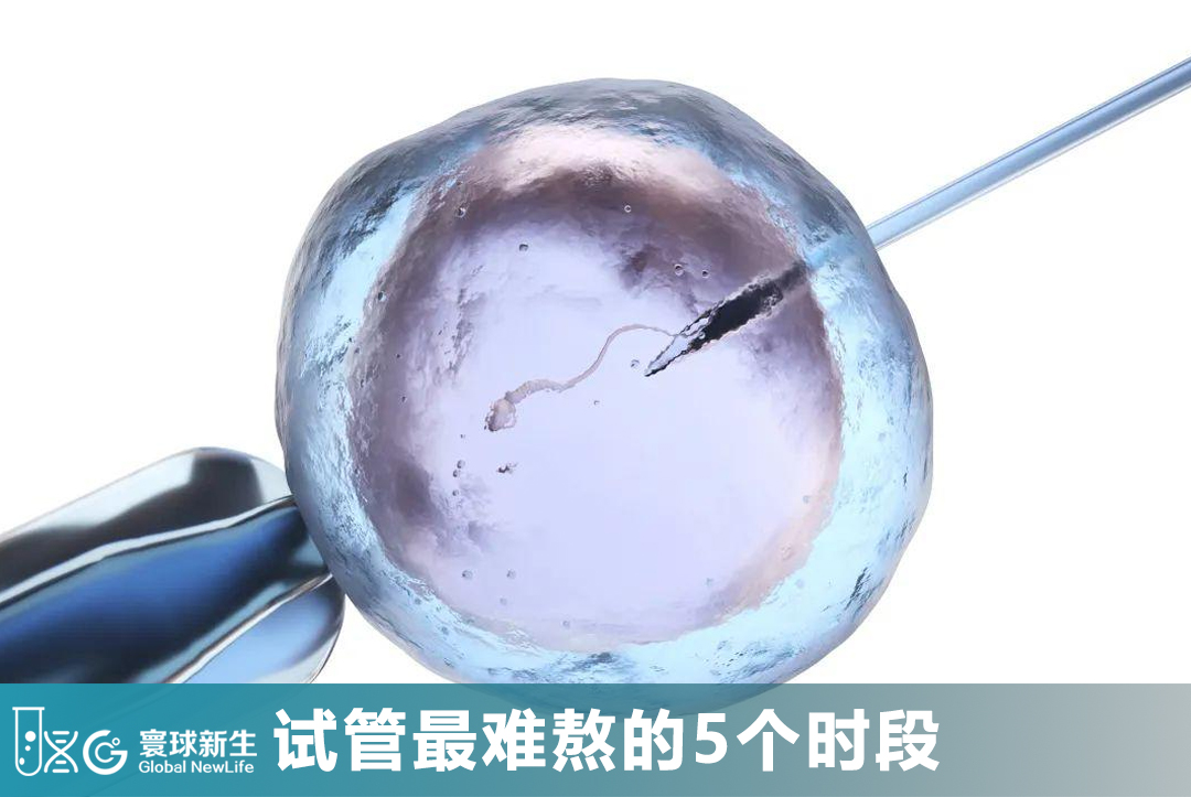 The 5 Most Difficult Phases of IVF