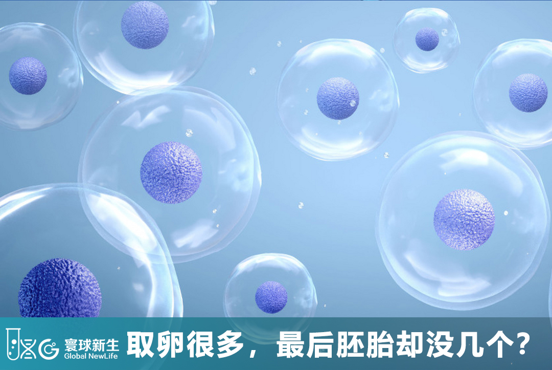 Many eggs retrieved but few embryos? The issue may lie in these critical stages.