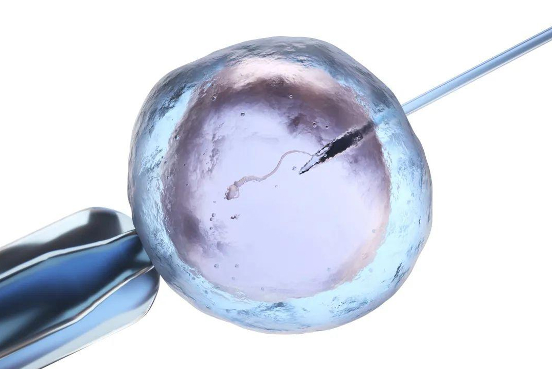 The 5 Most Difficult Phases of IVF