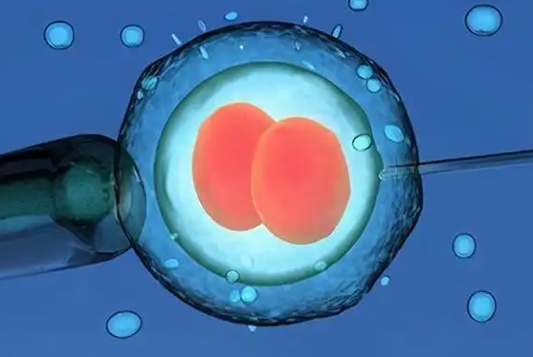 Why is double embryo transfer strongly discouraged in IVF?