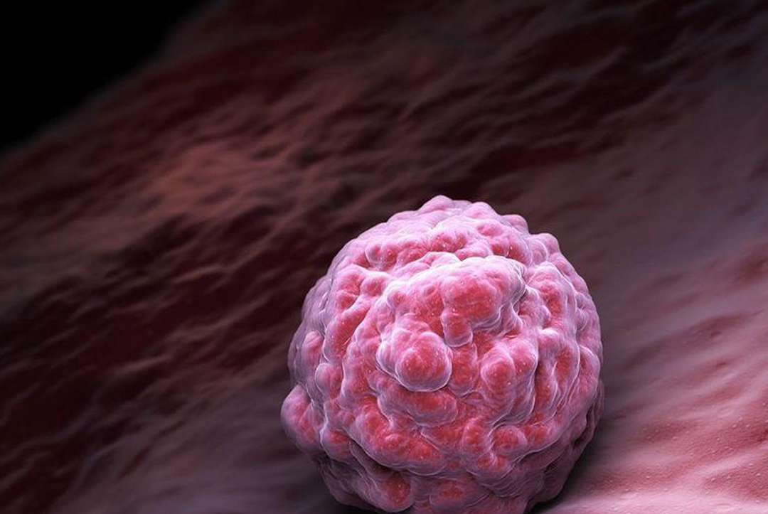 The Hidden Culprit Behind Decreasing Implantation Rates: 90% of Women Trying to Conceive Overlook It