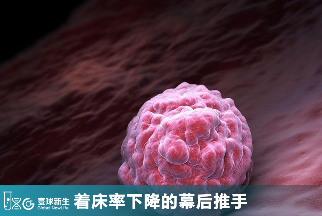 The Hidden Culprit Behind Decreasing Implantation Rates: 90% of Women Trying to Conceive Overlook It