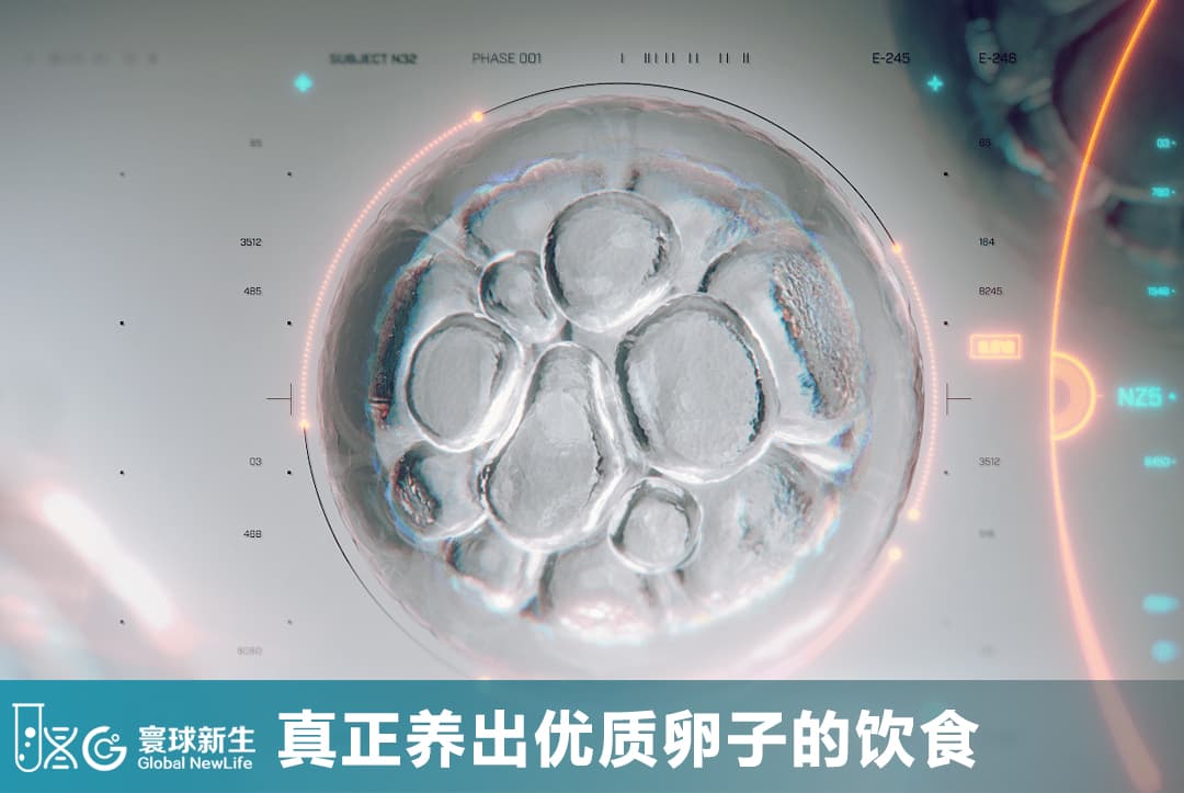 养卵别只会吃辅酶Q10！真正提升卵子质量的饮食方法，很多人都忽略了