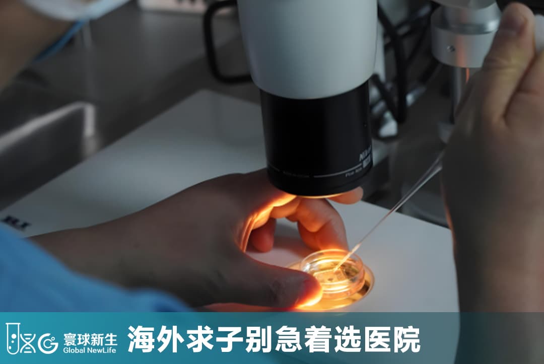 海外求子别急着选医院！为什么了解得越多，反而越容易陷入选择困难？
