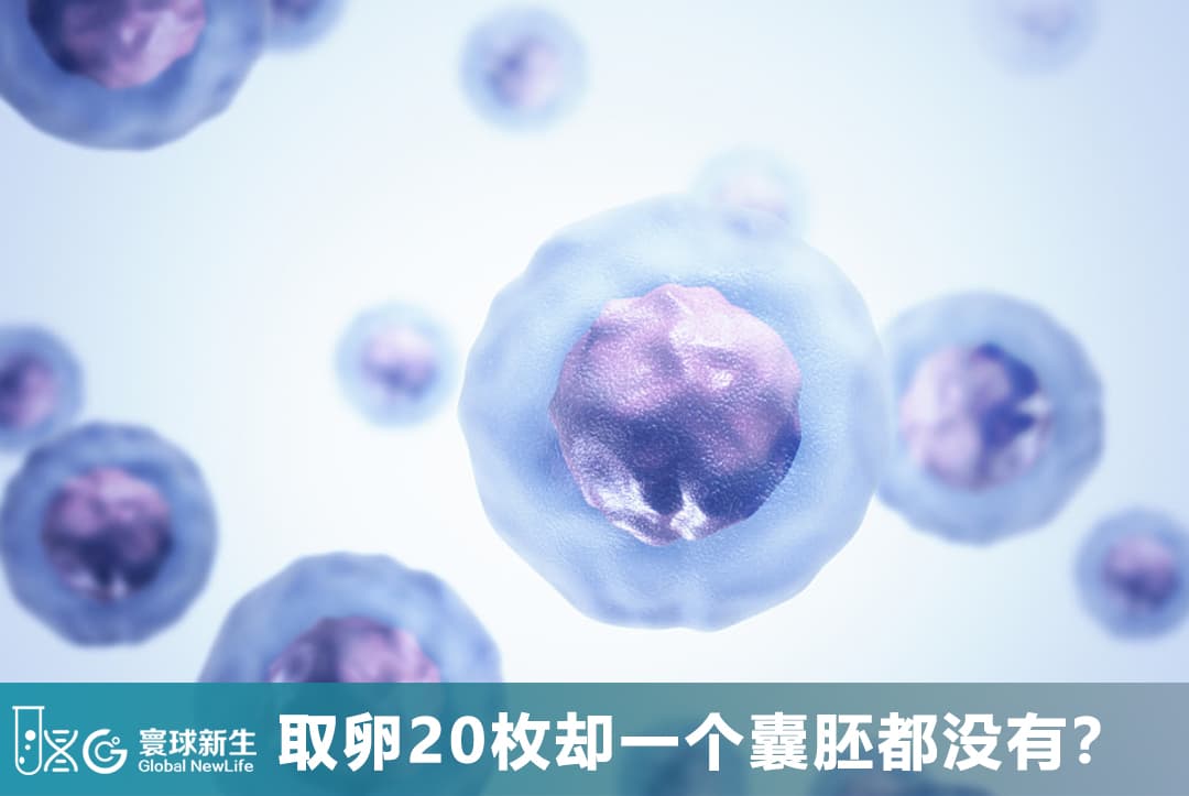 取卵20枚却一个囊胚都没有？《细胞》重磅研究：终于找到了养囊失败、胚胎停育的真正原因！