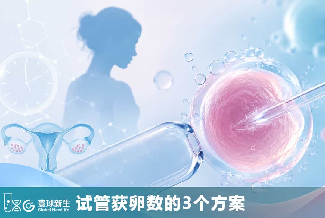 B超看到10个卵泡，为什么最后只取到6个？试管获卵数真正由这3件事决定