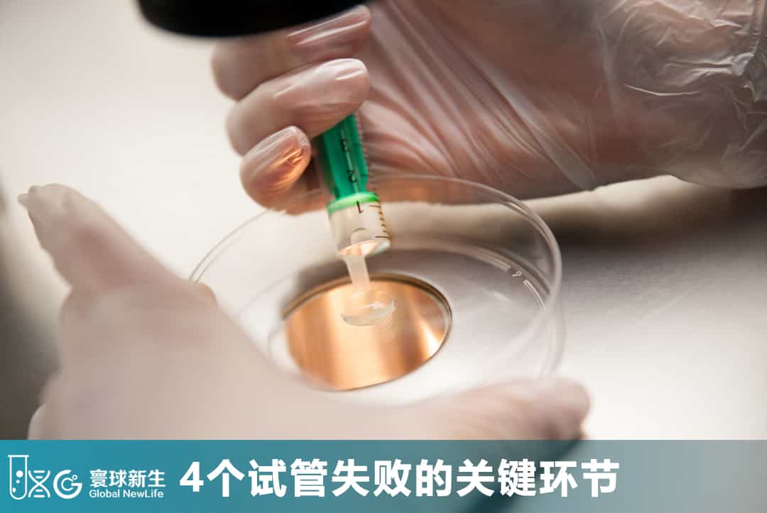 做了试管却没成功？别急着重复下一次，先看懂这4个关键环节